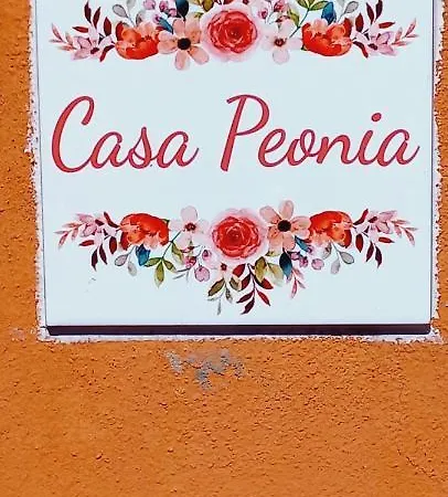 Casa Peonia Lovely Flat 公寓 莫内利亚